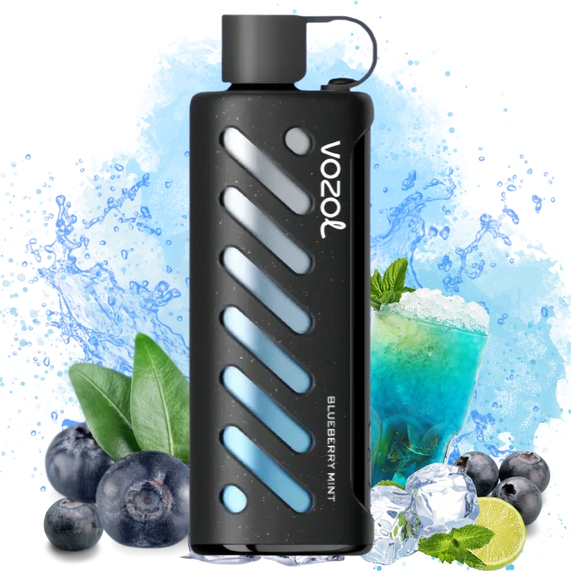 elfbar elfa kaufen VOZOL 20000 & BLUE MOJITO main image 0