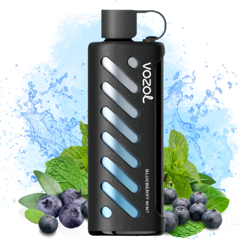 elfbar elfa kaufen Vozol Gear Shisha 25000 Blueberry Watermelon main image 1