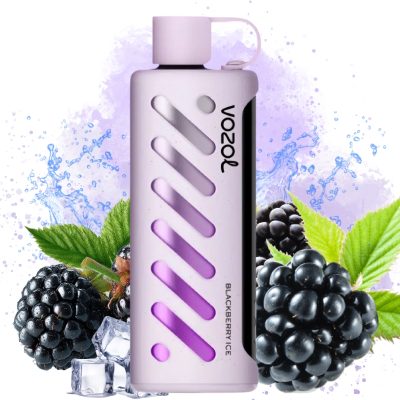 Vozol Gear Shisha 25000 Watermelon Ice Sabor | Almacn UE | Precio  mayorista bajo | Vozol Vape